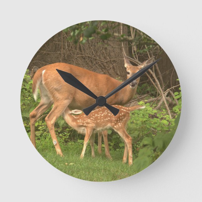 A doe and her fawn  round clock (Front)