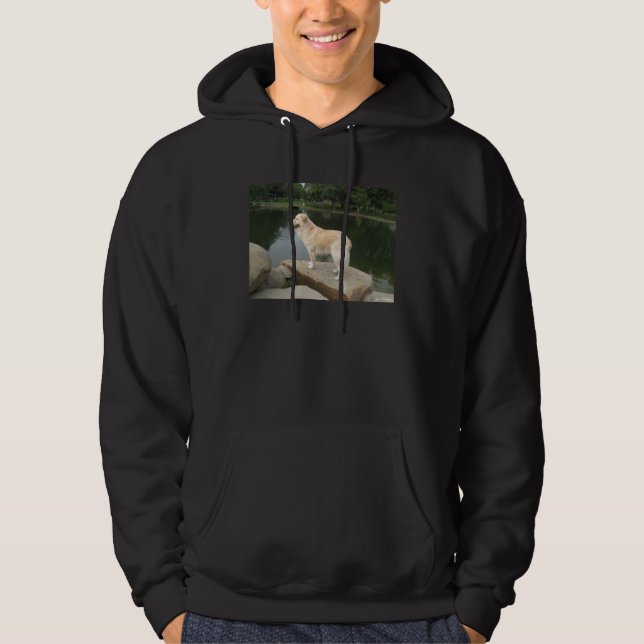 A Dog At A Pond Hoodie (Front)