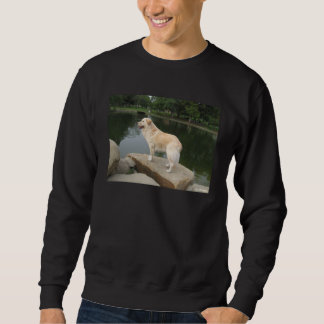A Dog At A Pond Sweatshirt