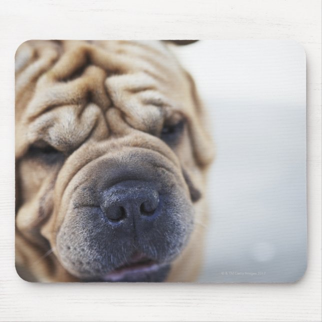 A dog, close-up. mouse pad (Front)