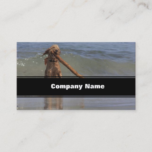 A Dog Day Afternoon Business Card (Front)