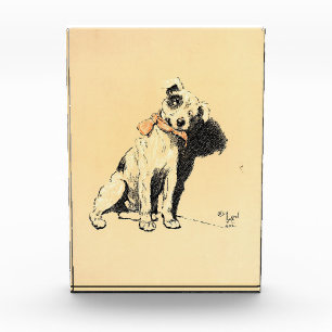 A Dog Day Pl 02 (1902) Cecil Charles Windsor Photo Block