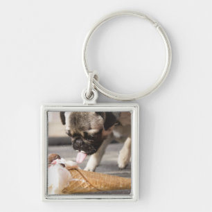 A dog eating an ice cream from a pavement key ring