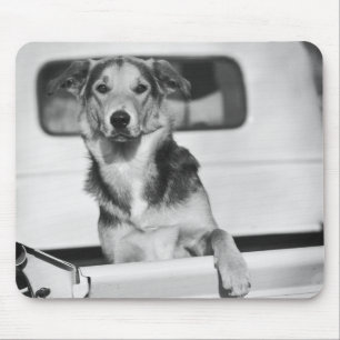 A dog in a car. mouse pad