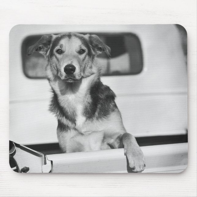 A dog in a car. mouse pad (Front)
