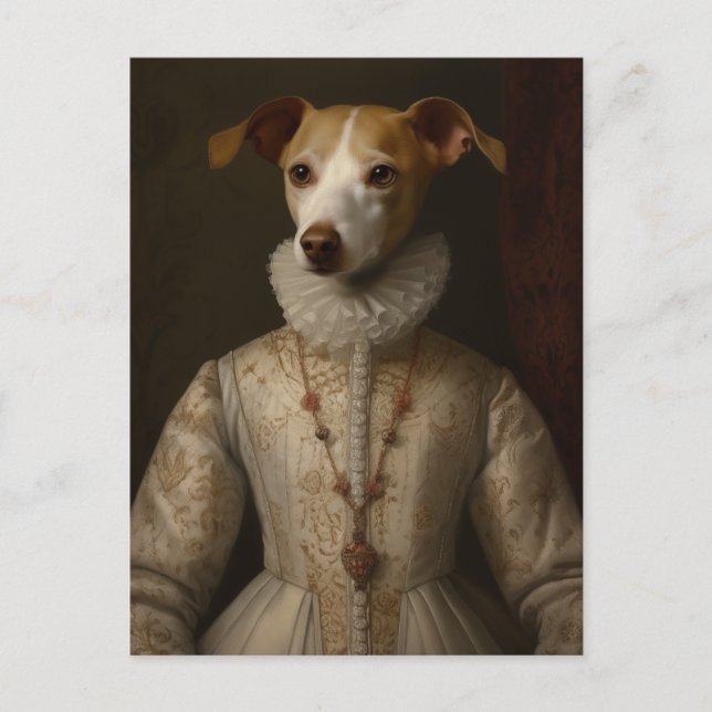 A dog in a renaissance dress postcard (Front)