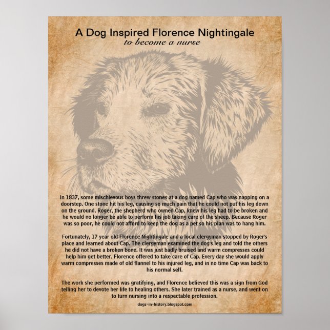 A Dog Inspired Florence Nightingale to Be a Nurse Poster (Front)