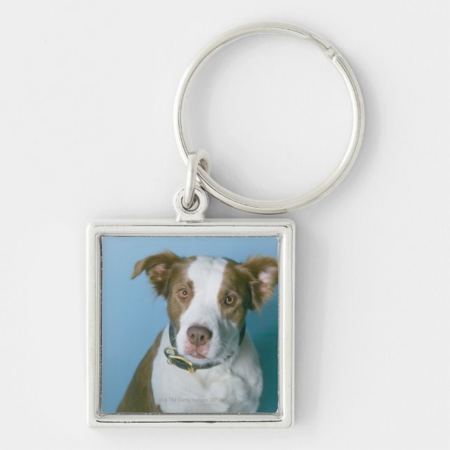 A dog key ring (Front)