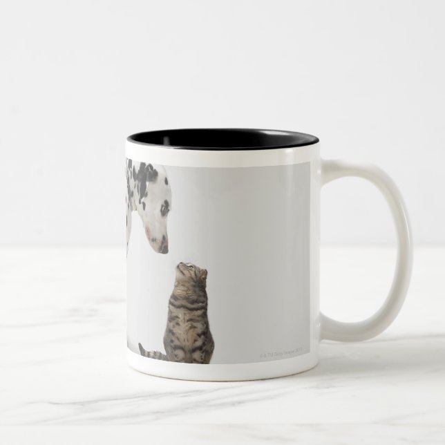 A dog looking at a cat Two-Tone coffee mug (Right)