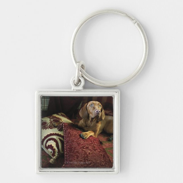 A dog lying on pillows. key ring (Front)
