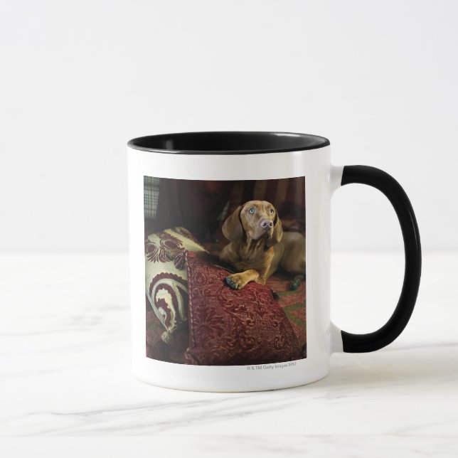 A dog lying on pillows. mug (Right)