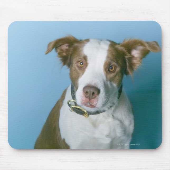 A dog mouse pad (Front)