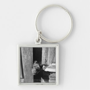 A dog peeking out from a door, close-up. key ring
