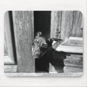 A dog peeking out from a door, close-up. mouse pad