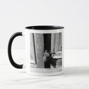 A dog peeking out from a door, close-up. mug