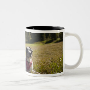 A dog rests after hiking to Jefferson Park in Two-Tone Coffee Mug