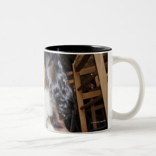 A dog sniffing close-up. Two-Tone coffee mug (Right)