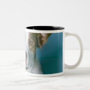 A dog Two-Tone coffee mug