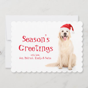 A Dog Wearing A Christmas Hat Holiday Card