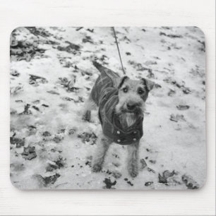 A dog wearing a jacket. mouse pad