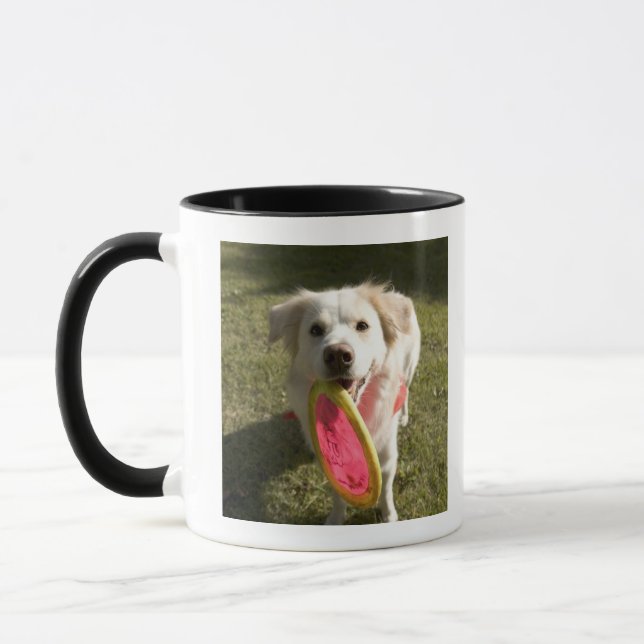 A dog with a frisbee mug (Left)