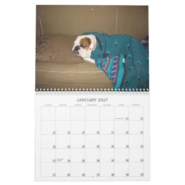 A Dog's Life Calendar (Jan 2027)