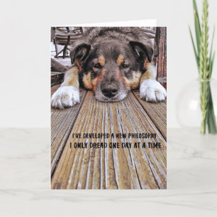 A DOG'S LIFE Greeting Card