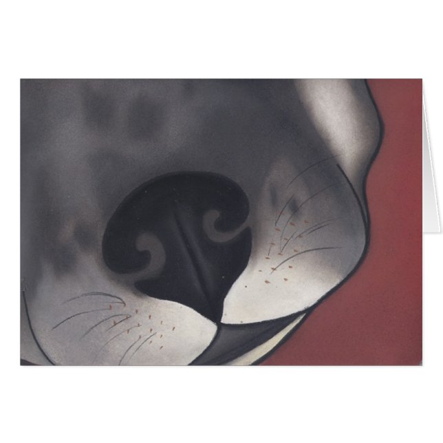 A Dogs Nose by Robyn Feeley (Front Horizontal)