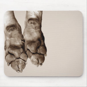 A dogs paws mouse pad