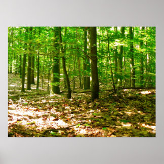 A Dog's Perspective Poster