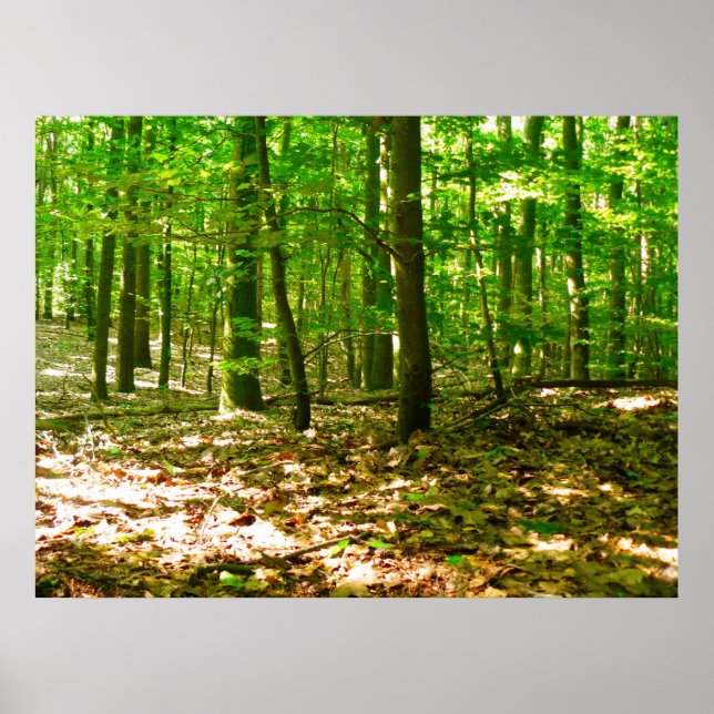 A Dog's Perspective Poster (Front)