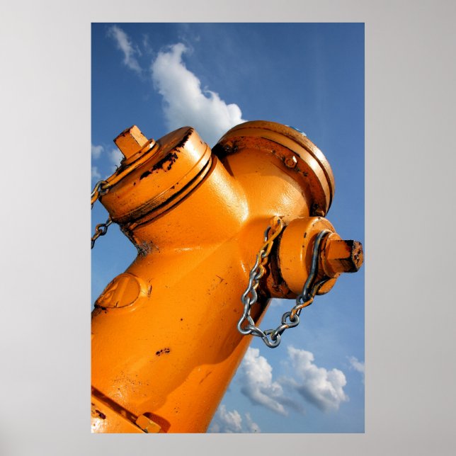 A Dogs Perspective Poster (Front)