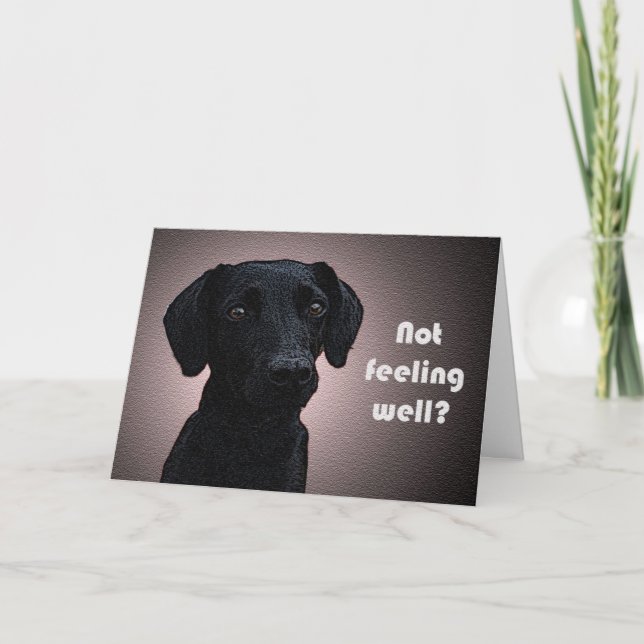 A Dog's Remedy Get Well Card (Front)
