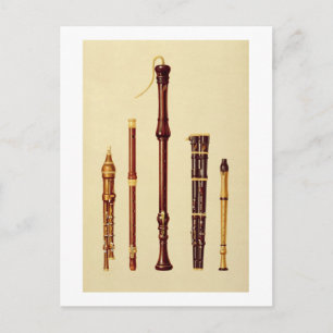 A double flageolet, a German flute, a bass recorde Postcard