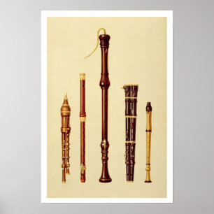 A double flageolet, a German flute, a bass recorde Poster
