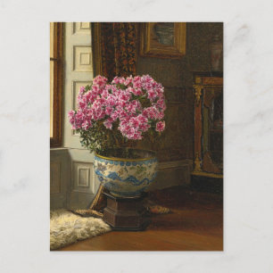 A Double Pink Azalea   Jessica Hayllar Postcard