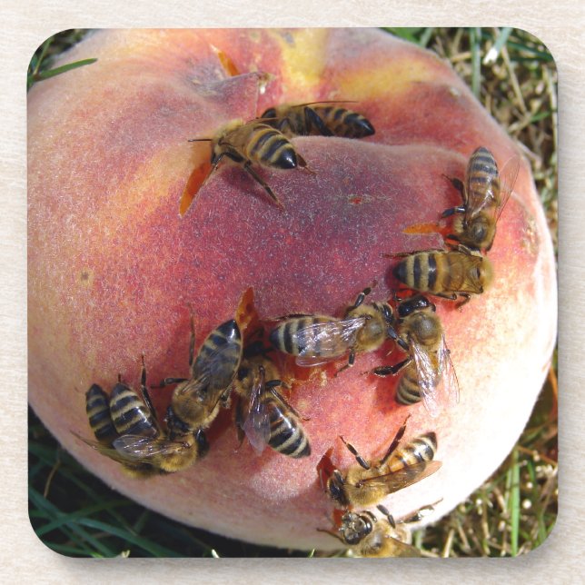 A Dozen Bees And A Peach Coaster (Front)