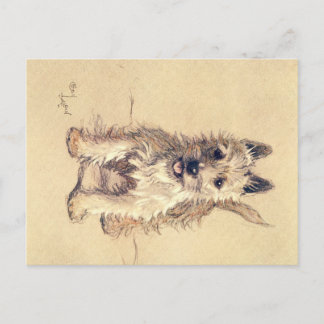 A Dozen Dogs or So Cecil Aldin Postcard