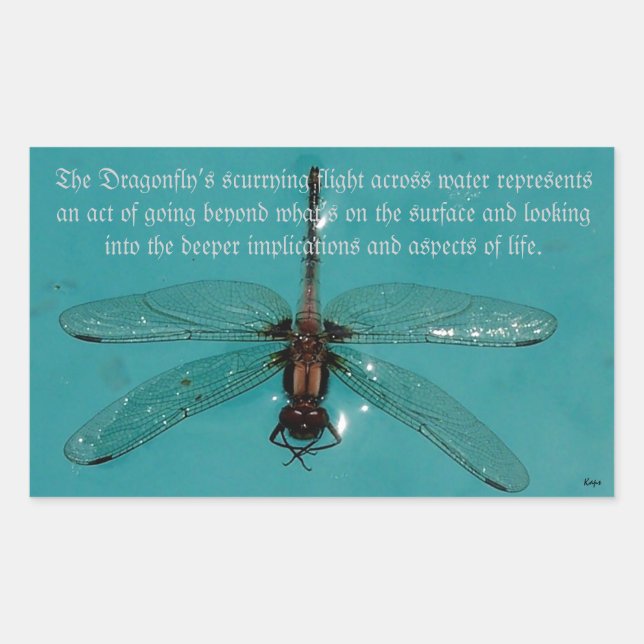 A Dragonflies Life 1 Sticker (Front)