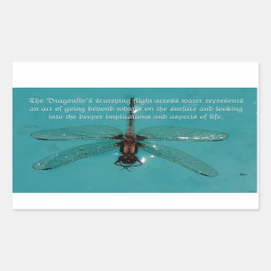 A Dragonflies Life 1 Sticker
