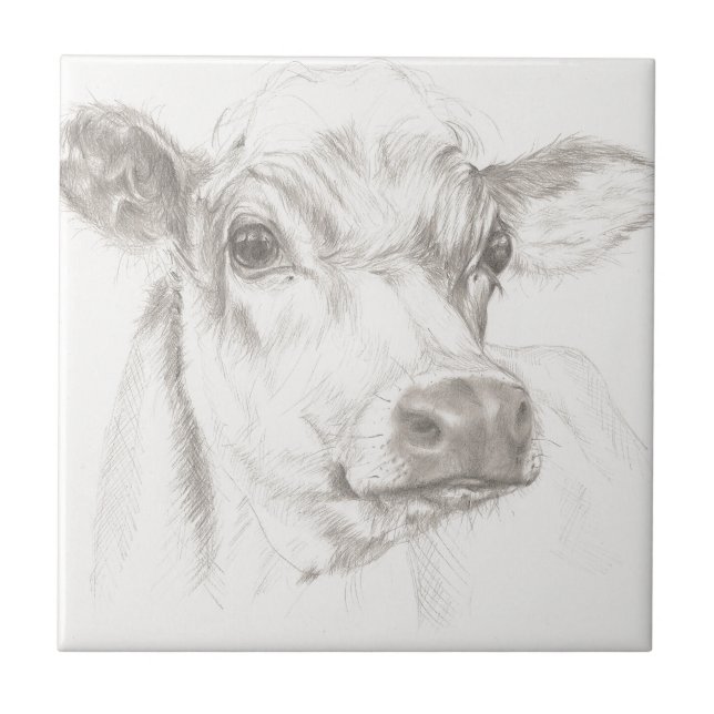 A drawing of a young cow ceramic tile (Front)