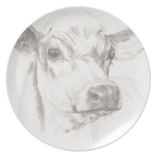 Pencil Drawing Plates Zazzle Au