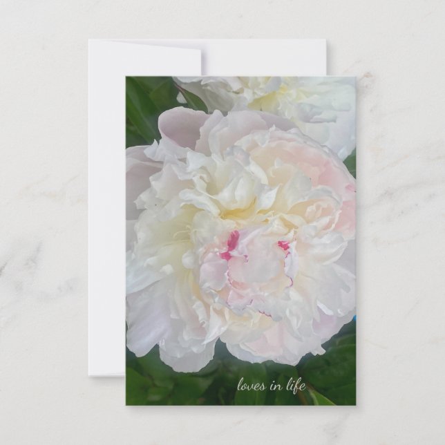 A Dreamy Blush Peony Card (Front)