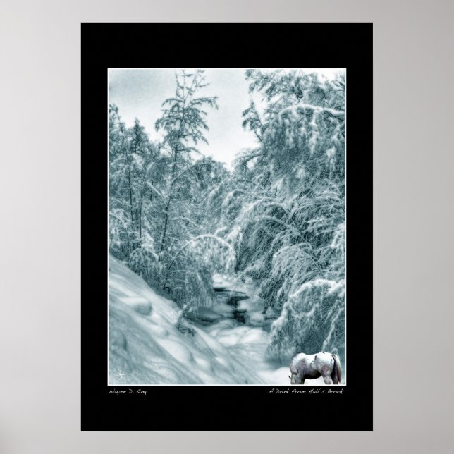 A Drink from Halls Brook Poster (Front)