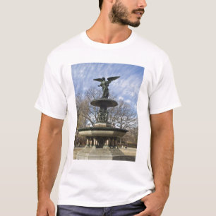 A dry winter Bethesda Fountain in Central Park T-Shirt