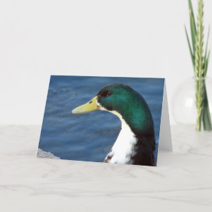 A Duck In The Park Card