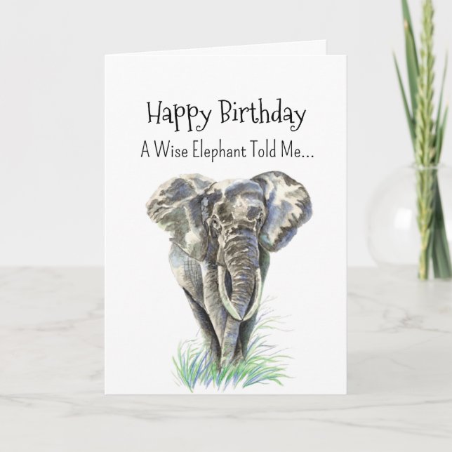 A Elephant Personality Birthday Fun Animal Card (Front)