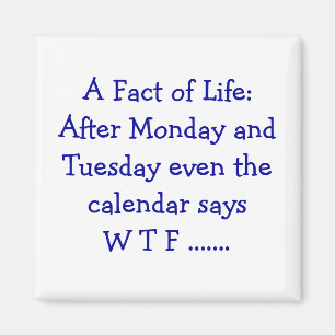 A Fact of Life - Magnet