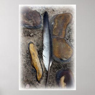 A fallen feather poster