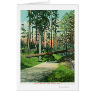 A Fallen Tree at Woodland Park Scene